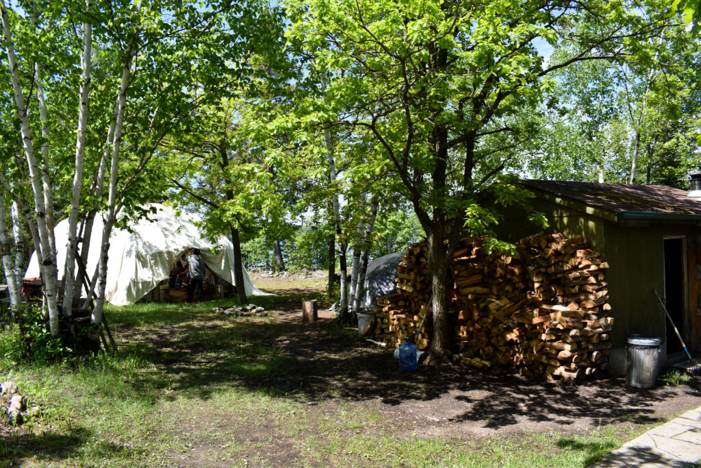tent with tree logs in forest