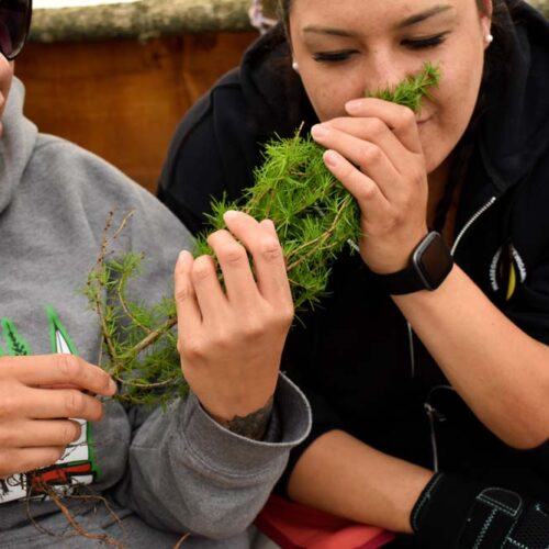 woman smelling tree stem