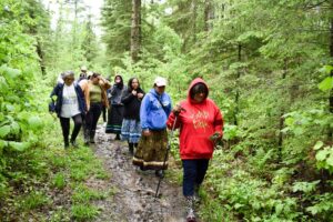 people walking in the forest