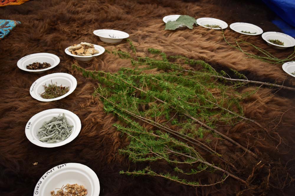 collection of leaves, stems and grass