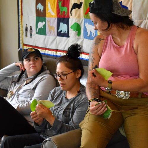women holding leaves